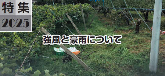 強風と豪雨について