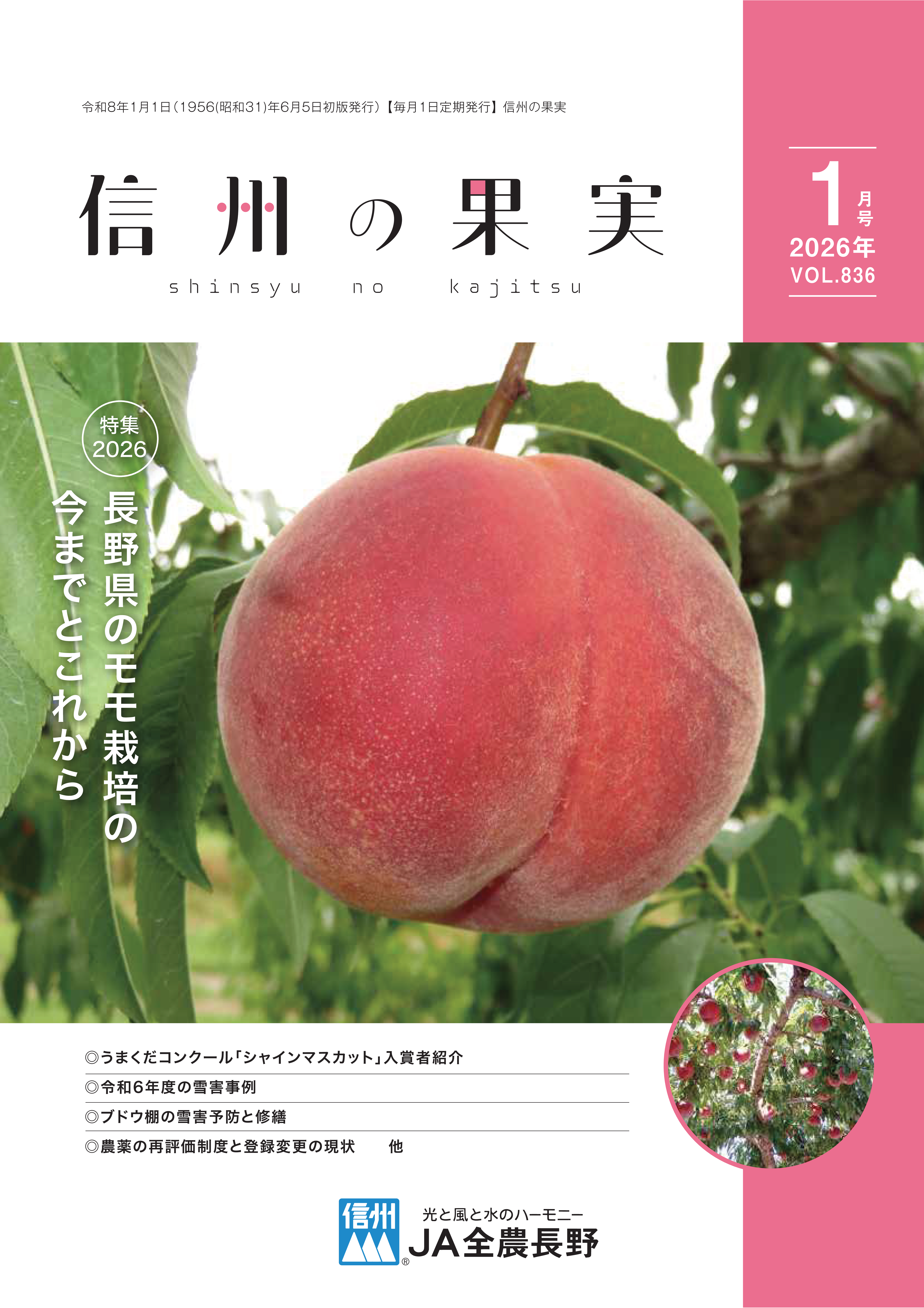 今月の主な記事