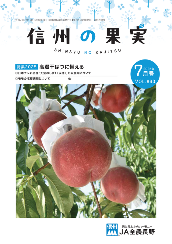 今月の主な記事