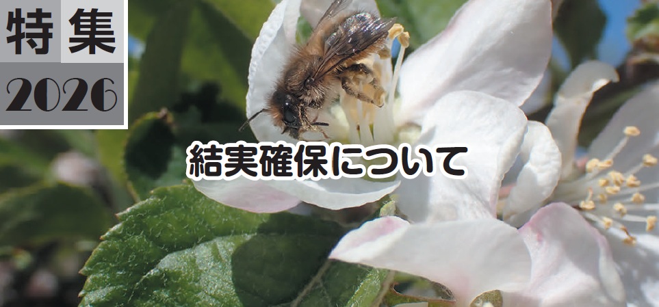結実確保について
