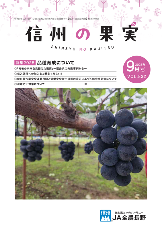 今月の主な記事