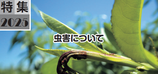虫害について