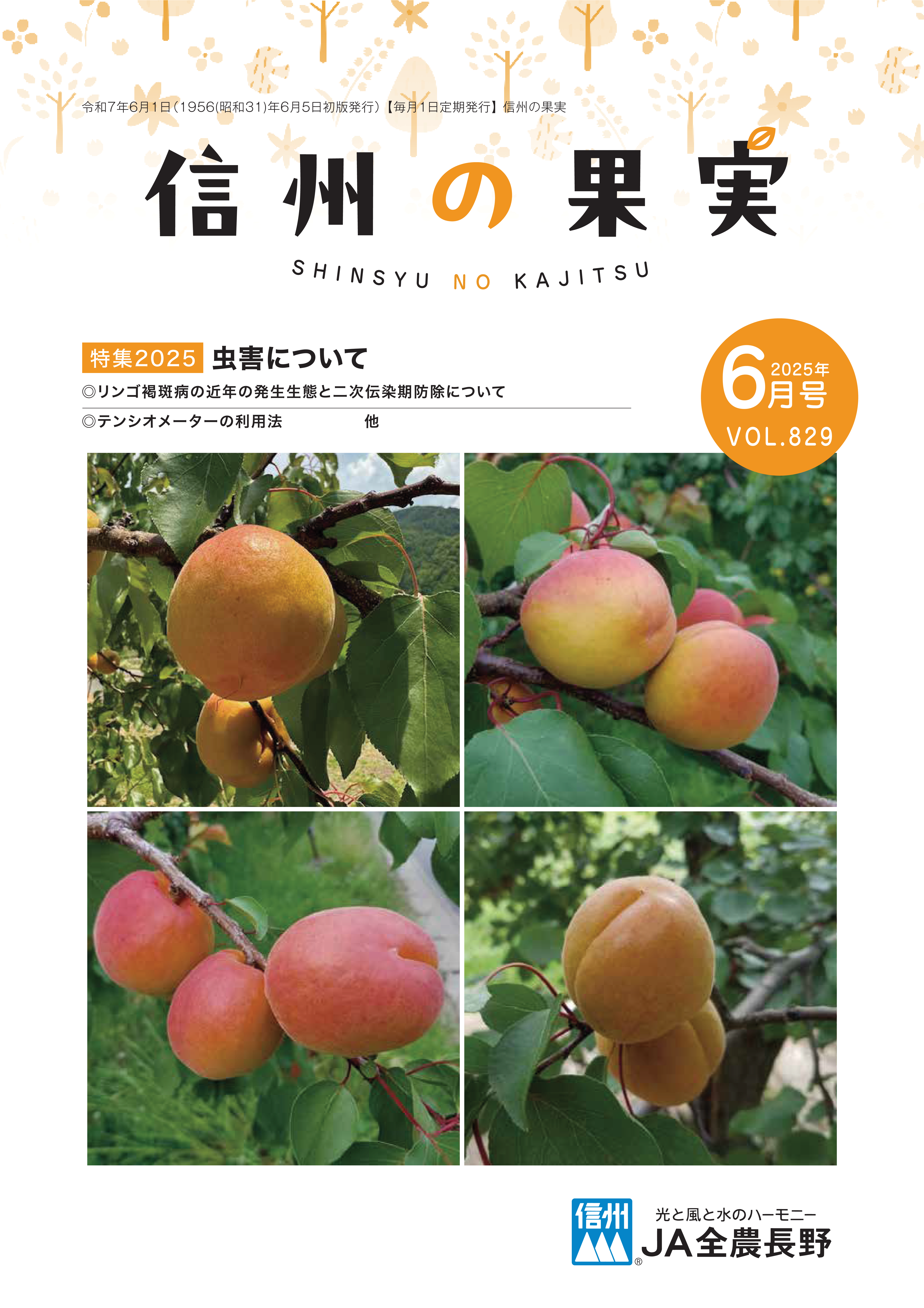 アンズ