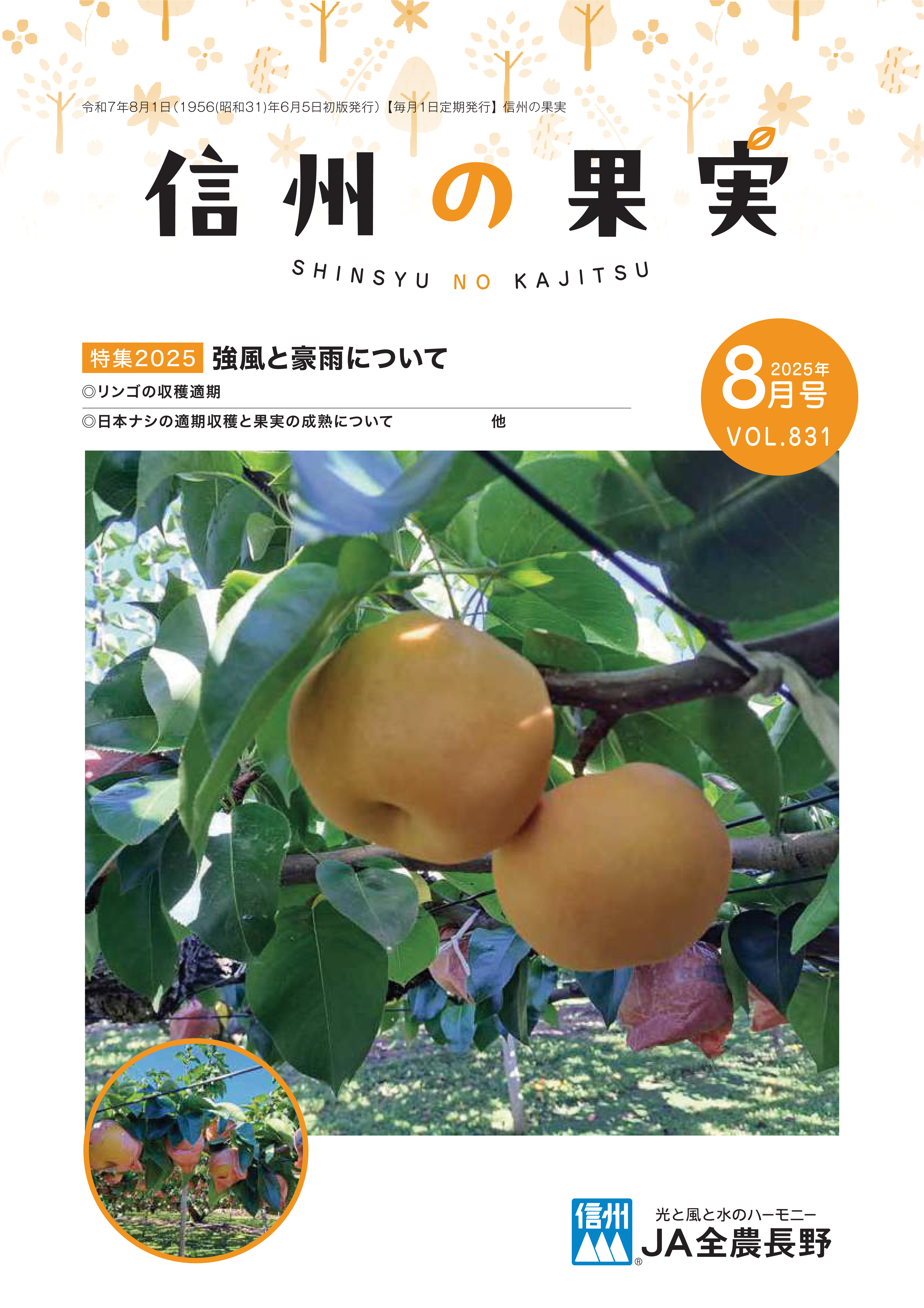今月の主な記事
