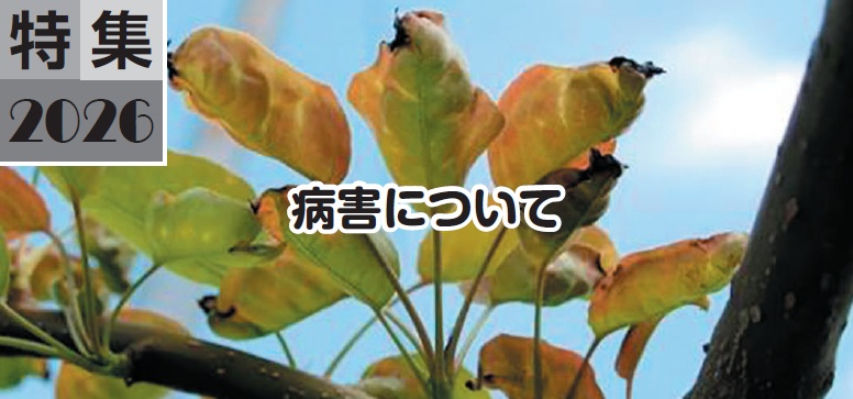 病害について