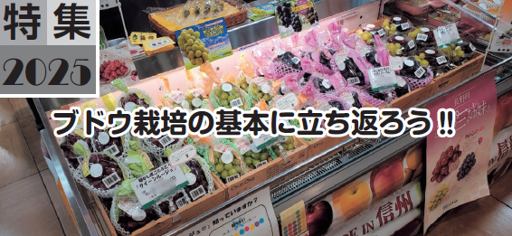 ブドウ栽培の基本に立ち返ろう!!