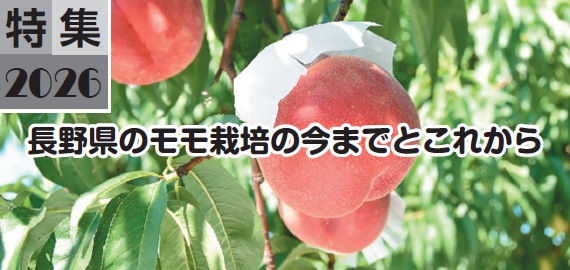 長野県のモモ栽培の今までとこれから