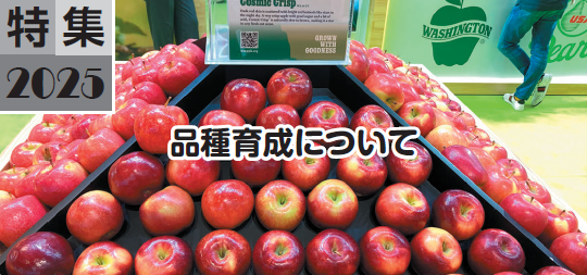 品種育成について