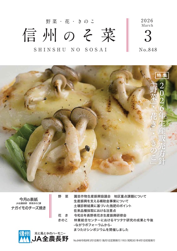 今月の主な記事