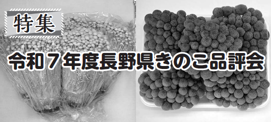 令和７年度長野県きのこ品評会