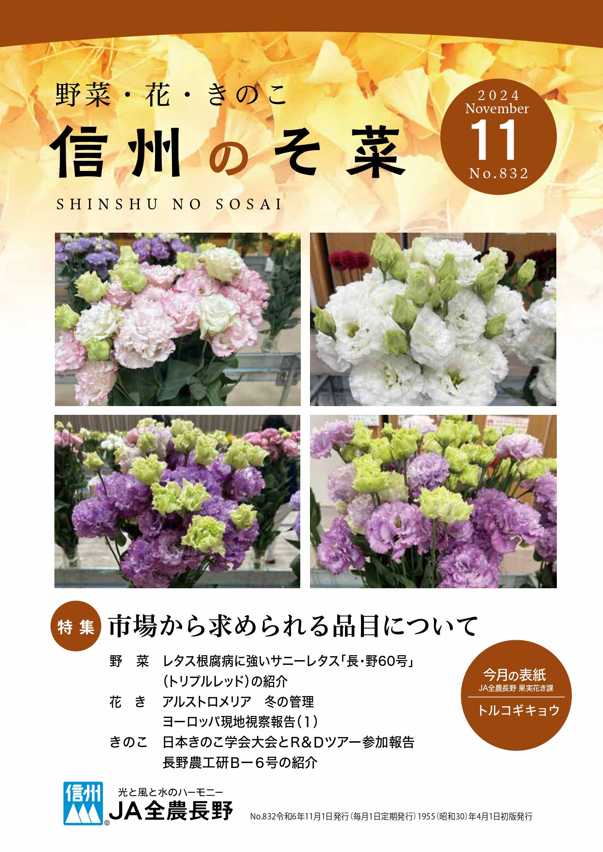 信州のそ菜　２０２４年１１月号