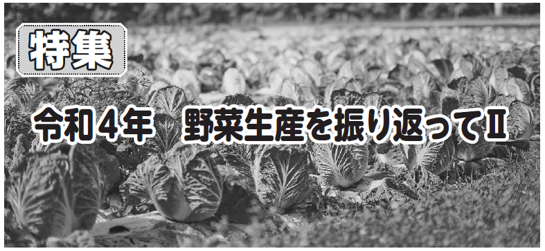 令和４年　野菜生産を振り返ってⅡ