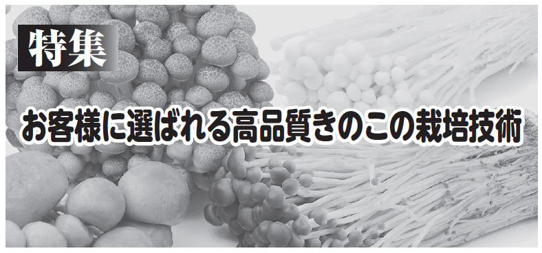 お客様に選ばれる高品質きのこの栽培技術