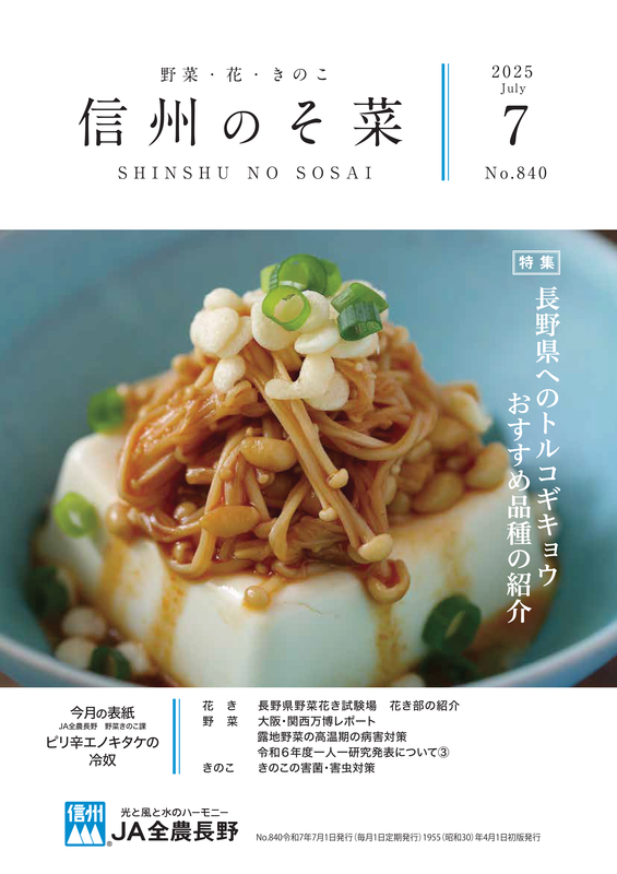 今月の主な記事