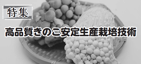 高品質きのこ安定生産栽培技術