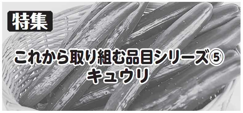 これから取り組む品目シリーズ⑤　キュウリ